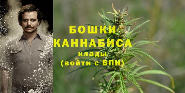 гидра Армянск